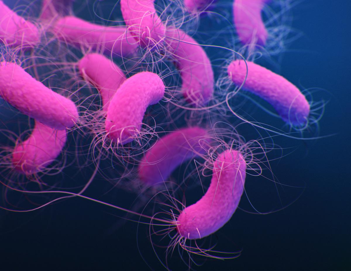 Medical illustration of multidrug-resistant Pseudomonas aeruginosa bacteria