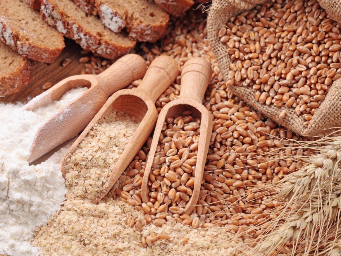Australia-China Joint Research Centre on Grains for Health