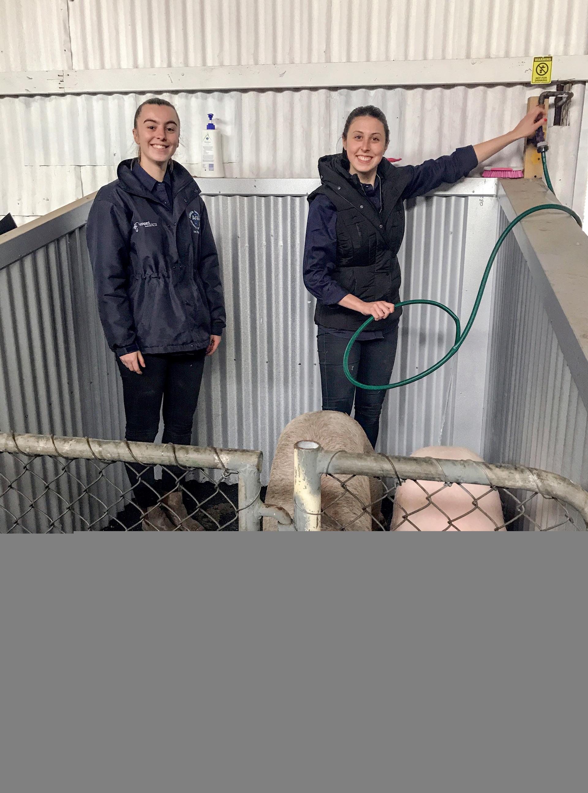 School of Animal and Veterinary Sciences students Alex Bucci and Claudia Rigney at the Royal Adelaide Show