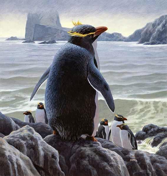 News - Penguin Evolution