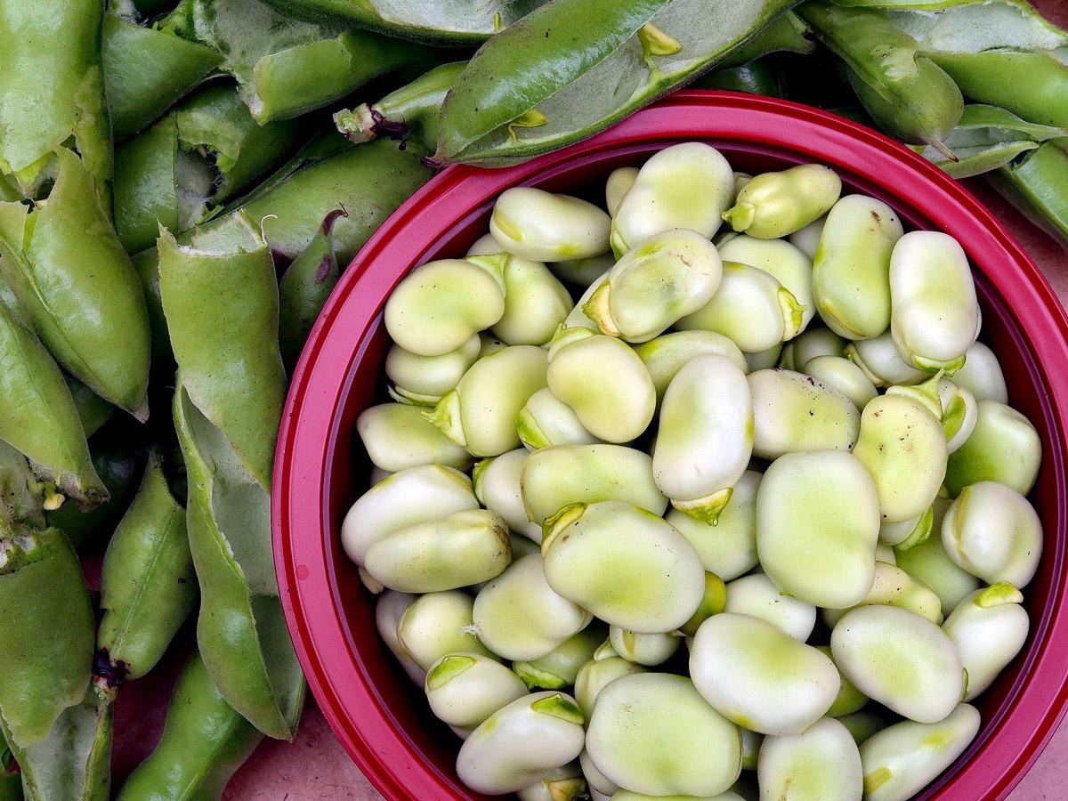 Broad beans by Chris Reading from Pixabay 