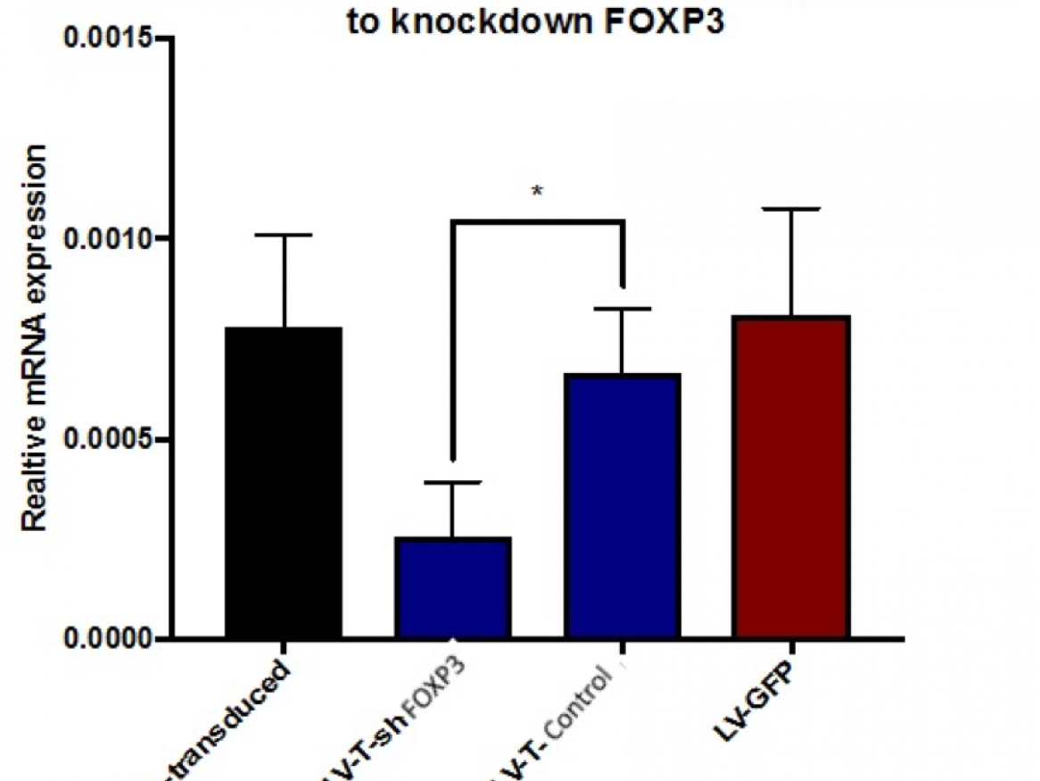 JAZF1 mRNA expression in Treg lentivirally-transduced to knockdown FOXP3
