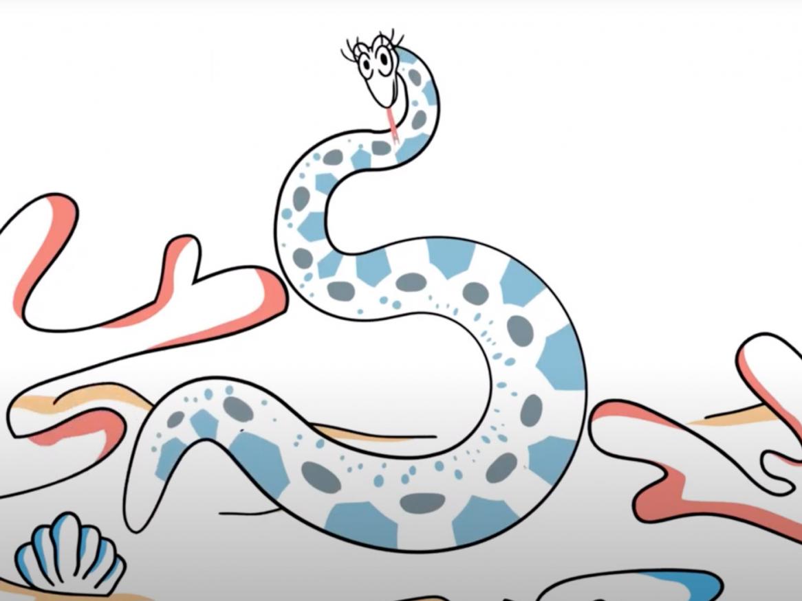 Shape-Shifting Sea Snakes