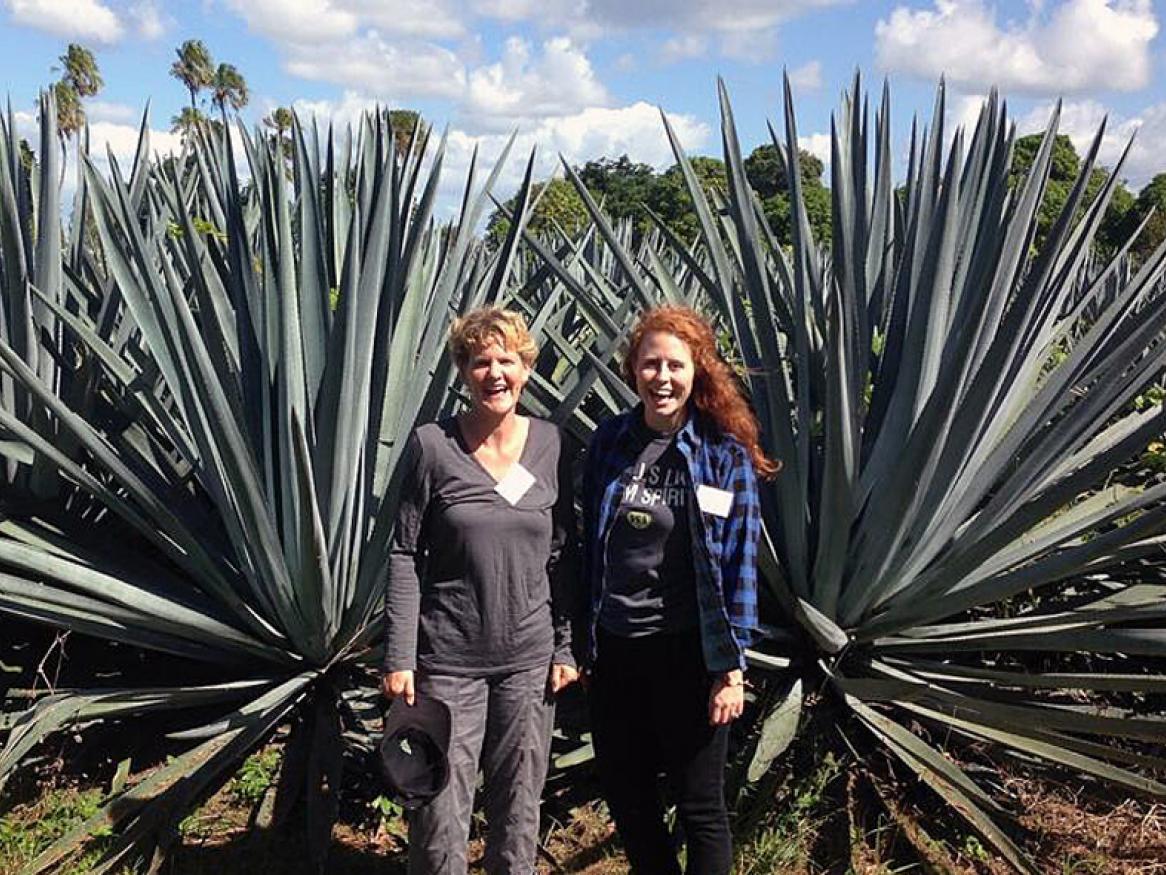 Associate Professor Rachel Burton and PhD Student Kendall Corbin visiting the Agave plantation in Queensland