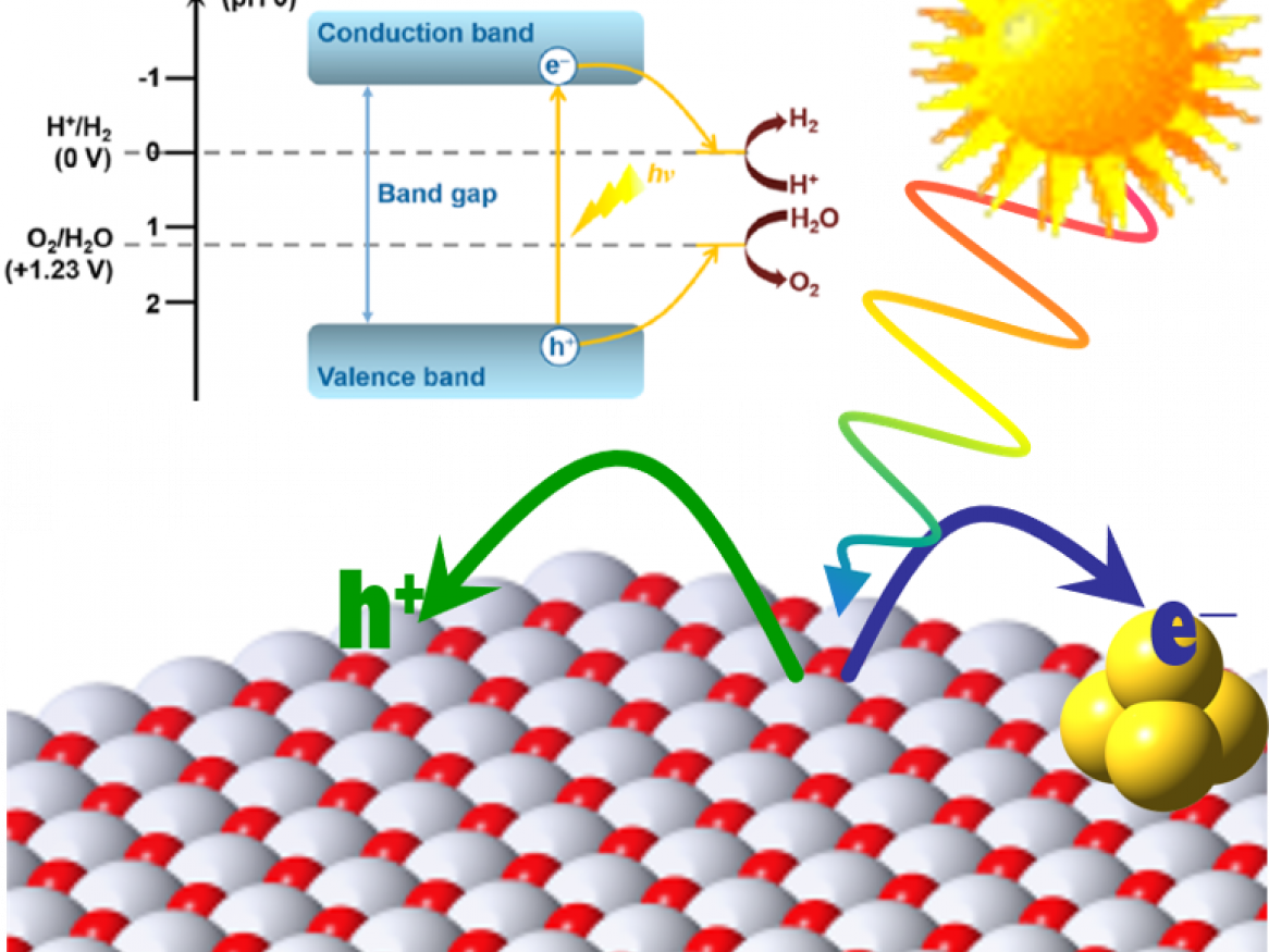 Photocatalysis involves both electron and hole transfer, as well as molecular re-arrangement on a surface