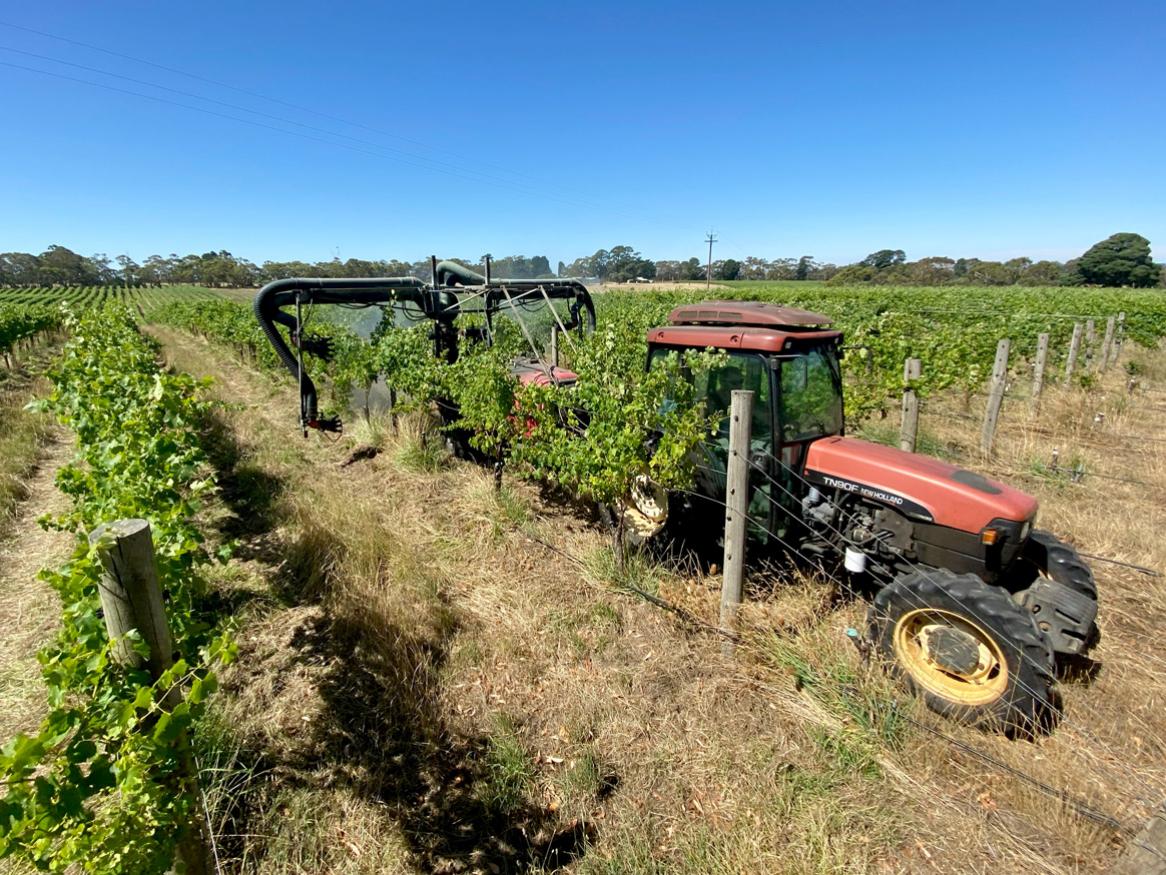 Vineyard spraying Adelaide Hills 